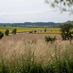Chez Phil - Le Calme Proche De Revel, Castelnaudary, Carcassonne Bed & Breakfast