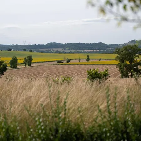 Chez Phil - Le Calme Proche De Revel, Castelnaudary, Carcassonne Bed & Breakfast
