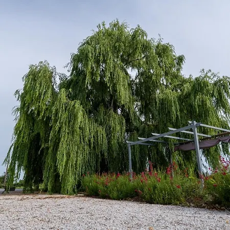 Chez Phil Couette-café La Pomarède